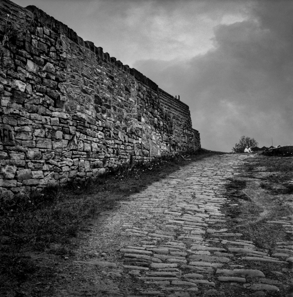 Canal Towpath, Bolton Road Canal Towpath, Bolton Road - Blackburn a Town and its People Photographic Study