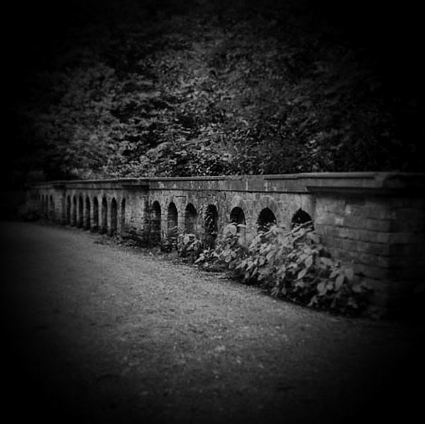 Holga photograph of Hampstead Heath, London - 1 by Christopher John Ball - Photographer & Writer Holga photograph of Hampstead Heath, London - 1 by Christopher John Ball - Photographer & Writer