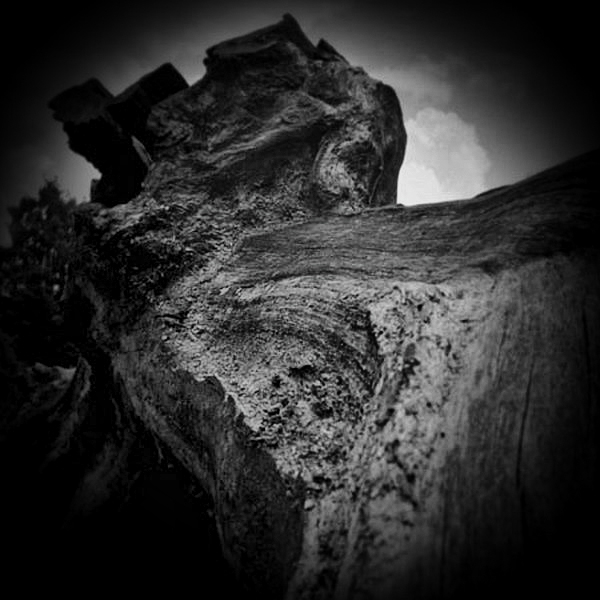Holga Series 'Bordered' - 3 by Christopher John Ball - Photographer & Writer Holga Series 'Bordered' - 3 by Christopher John Ball - Photographer & Writer