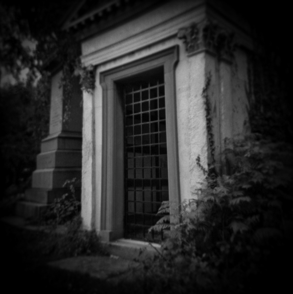 Holga Study of Abney Park in London -2 by Christopher John Ball - Photographer & Writer