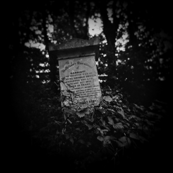 Holga Study of Abney Park in London - 5 by Christopher John Ball - Photographer & Writer Holga Study of Abney Park in London -5 by Christopher John Ball - Photographer & Writer
