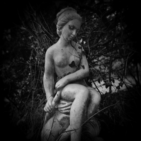 Holga photograph of Garden Memorial - 1 by Christopher John Ball