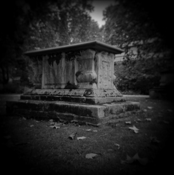 Holga Study of Corams Field Park, London - 2  by Christopher John Ball