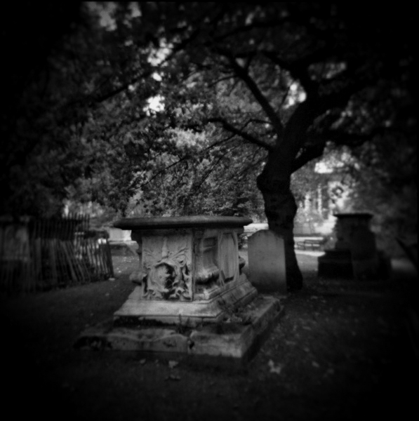 Holga Study of Corams Field Park, London - 3 by Christopher John Ball Holga Study of Corams Field Park, London - 3 by Christopher John Ball