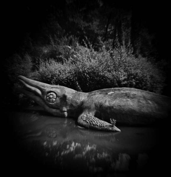 Diana Photographs of Dinosaur Court at Crystal Palace - 4 by Christopher John Ball - Photographer & Writer Diana Photographs of Dinosaur Court at Crystal Palace - 4 by Christopher John Ball - Photographer & Writer