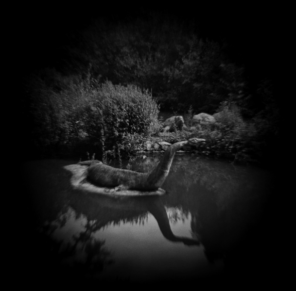 Diana Photographs of Dinosaur Court at Crystal Palace - 2 by Christopher John Ball - Photographer & Writer