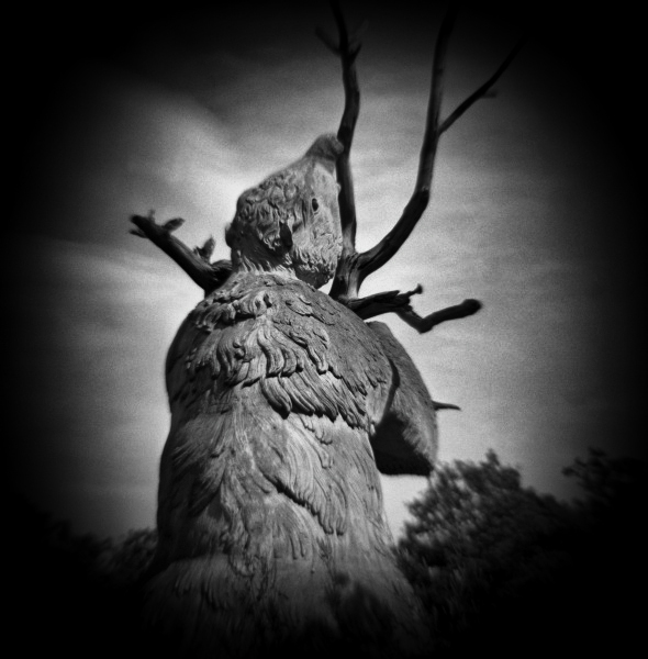 Diana Photographs of Dinosaur Court at Crystal Palace - 1 by Christopher John Ball - Photographer & Writer