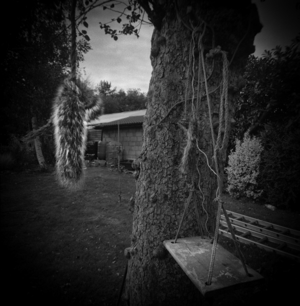 Holga Series 'In Dreams...' - 3 by Christopher John Ball - Photographer & Writer Holga Series 'In Dreams...' - 3 by Christopher John Ball - Photographer & Writer