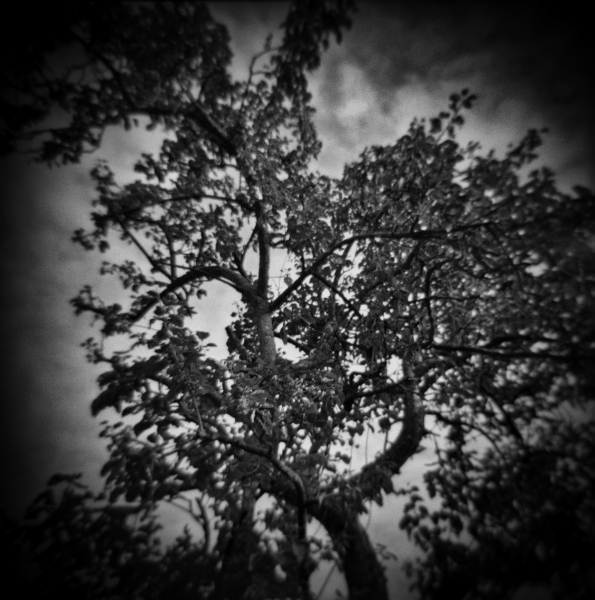 Holga Series 'In Dreams...' - 4 by Christopher John Ball - Photographer & Writer Holga Series 'In Dreams...' - 4 by Christopher John Ball - Photographer & Writer