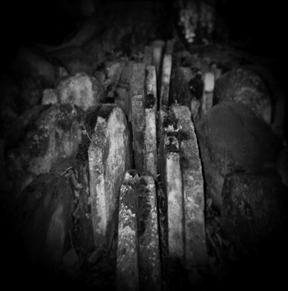 Holga Photograph of St Pancras Graveyard -2  by Christopher John Ball - Photographer & Writer