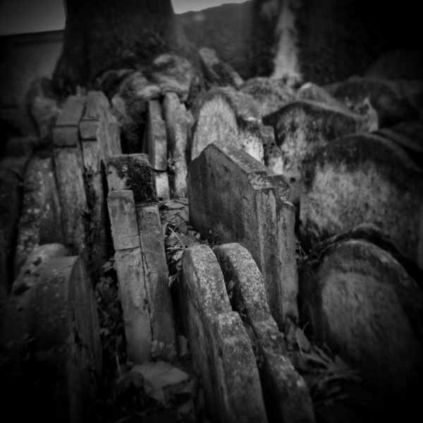 Holga Photograph of St Pancras Graveyard -3  by Christopher John Ball - Photographer & Writer