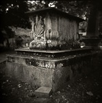 Holga Study of Corams Field Park, London by Christopher John Ball