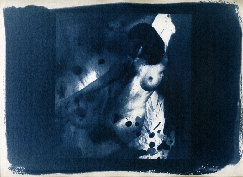 Nude Cyanotype - 2 Cyanotype Flower and Nude Photographs by Christopher John Ball - Photographer & Writer