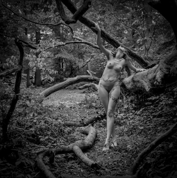 Fine Art Nude Photographs by Christopher John Ball - Photographer & Writer by Christopher John Ball - Photographer & Writer