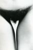 Infanta by Ralph Gibson. Published by Takarajima Books. ISBN-10: 188348913X 